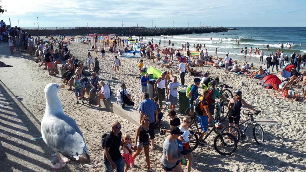Ambrozja Dom Goscinny Kołobrzeg Exteriör bild