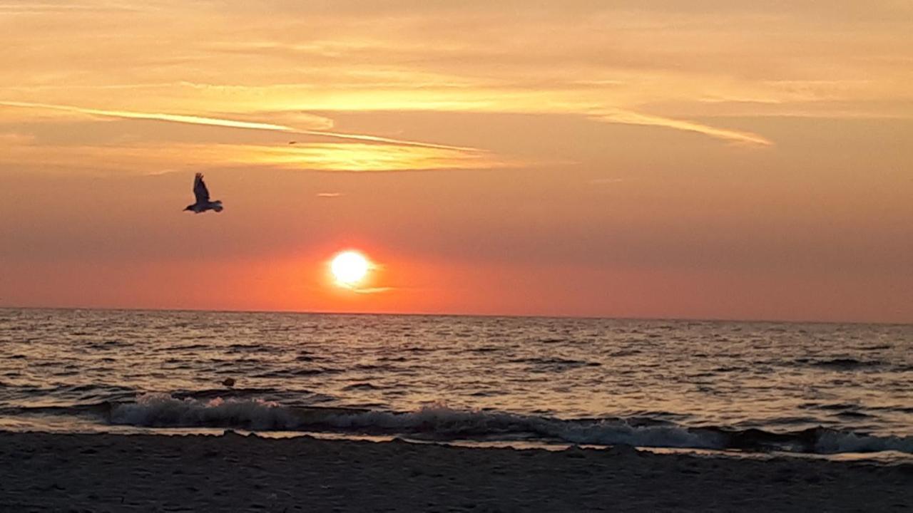 Ambrozja Dom Goscinny Kołobrzeg Exteriör bild